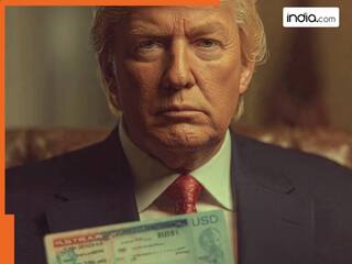 US ने कब और क्यों की थी H-1B Visa की शुरुआत? जानें क्या है विवाद का कारण, अमेरिकियों को हो रहा ये नुकसान