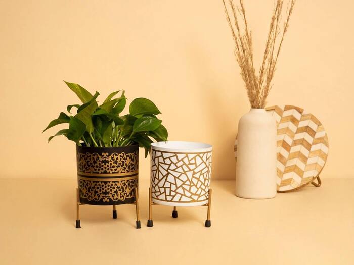 Home Vastu  4