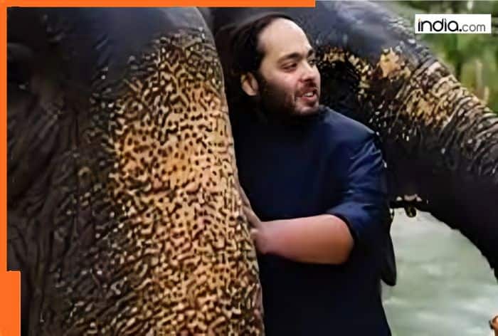 BIG worry for Mukesh Ambani as SC launches SIT probe into Anant Ambani's Vantara