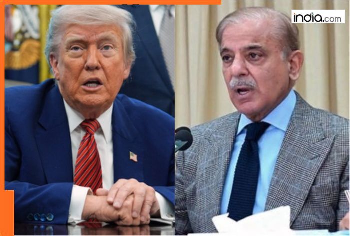 After criticizing India, Donald Trump goes overboard, meets Shehbaz Sharif, General Asim Munir at White House, calls them ‘Great…’