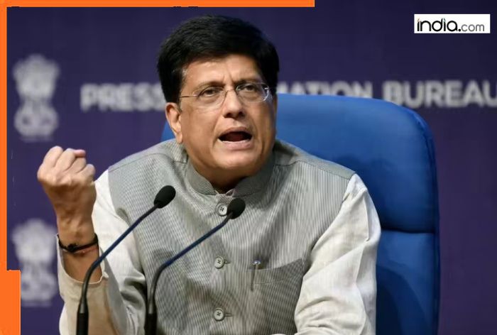 BIG update on India-US trade deal; Modi govt says Piyush Goyal-led delegation held constructive talks with…