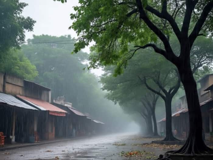 Indian Meteorology Department IMD