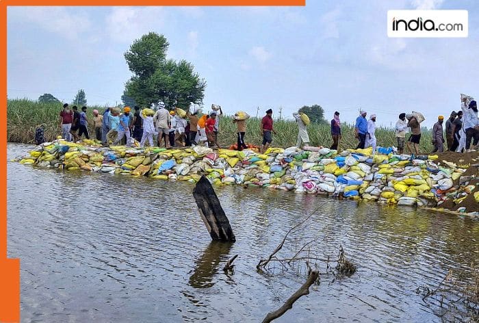 Reliance Foundation extends helping hand to flood-stricken Punjab, makes THESE 10 announcements