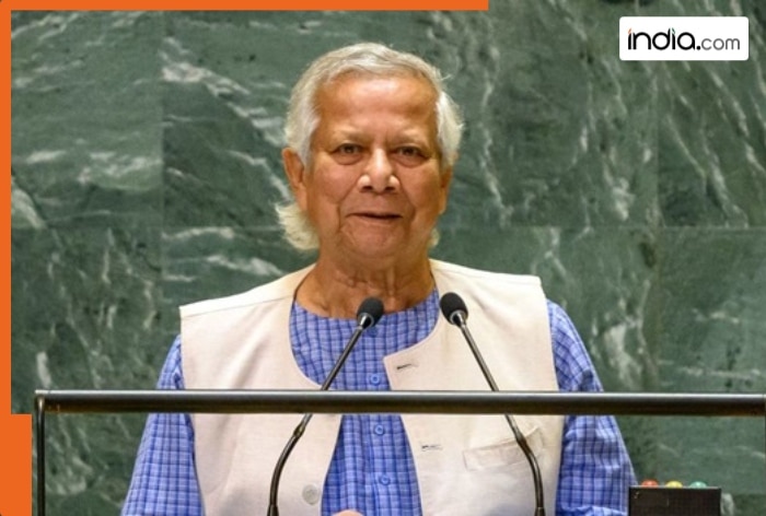 ‘Pakistani Yunus is turning Bangladesh into a Taliban-like country’: Expatriates protest outside UNGA over atrocities on Hindus