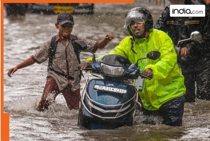 Uttar Pradesh rain forecast September 5: Rain alert in more than 40 districts; check detailed IMD forecast