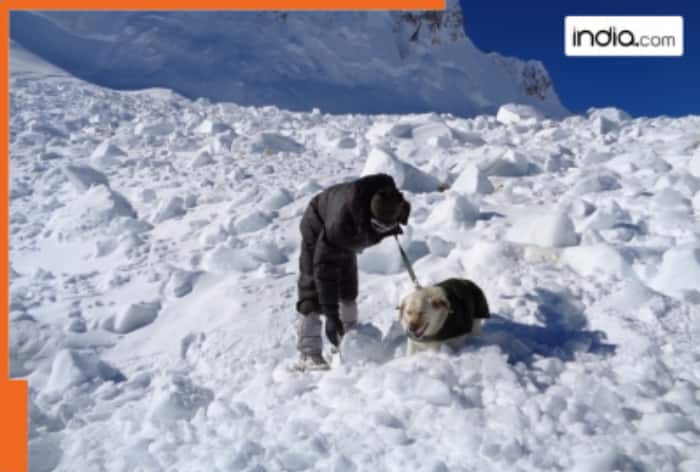 Three soldiers killed in Siachen avalanche Srinagar; Key updates
