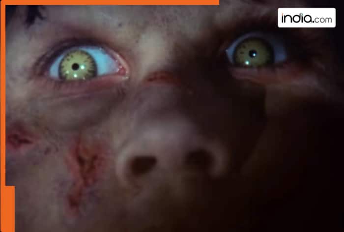 This 2-hour horror thriller film was released in only 25 theatres, made on budget of Rs 104 crore, earned Rs 3858 crore, movie is..., lead stars were...