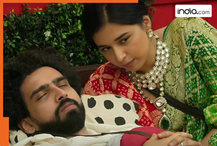 Bigg Boss 19: Tanya Mittal dreams about Amaal Mallik, ‘Wants to…’