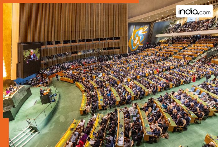 World’s largest Muslim country’s president speech at United Nations is going viral due to…, his name is…, country is…
