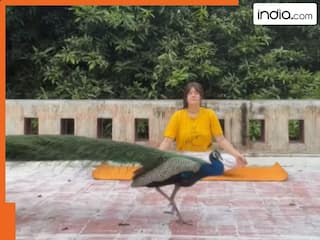 छत पर योग कर रही थी लड़की तभी अचानक आ गया मोर, फिर जो हुआ उसे देखकर खुश हो जाएंगे आप, Video Viral