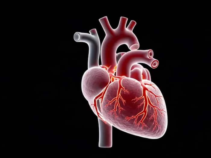 Heart attack symptoms