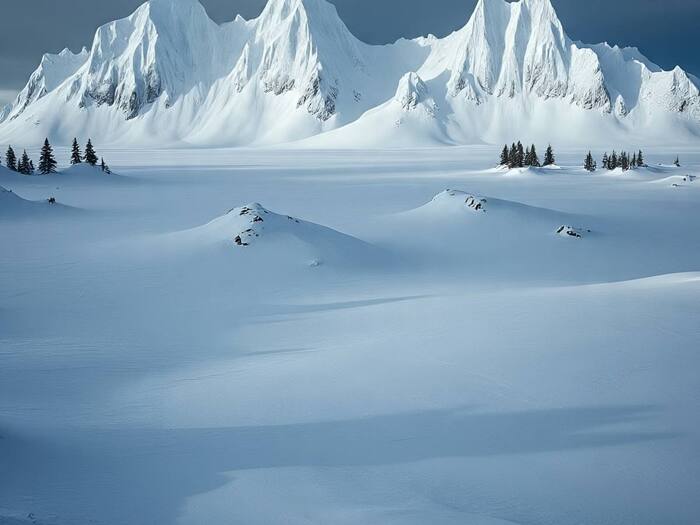 Humans destroyed by snow