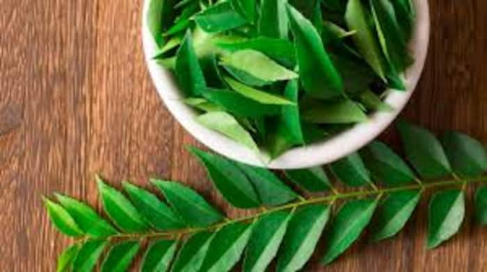 Curry leaves benefits