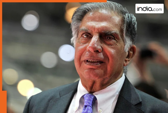 Ratan Tata gave a part of his wealth to his friend Shantanu, Goa and Tito also became part of his will, who are Goa and Tito?