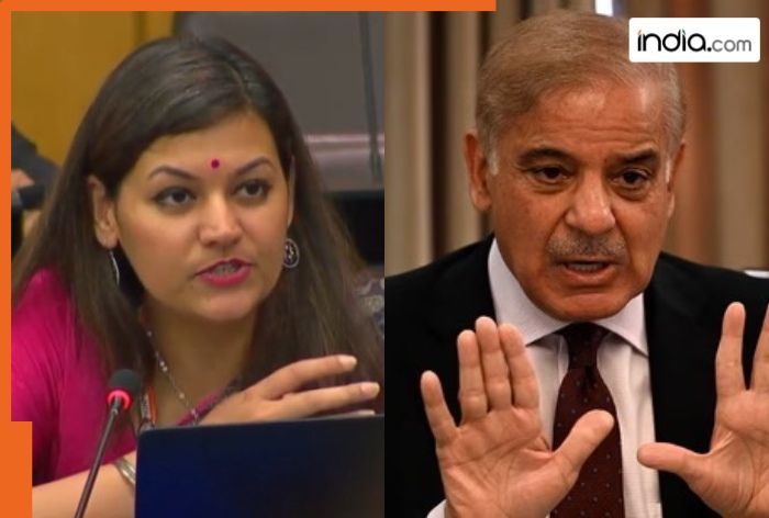 India gives befitting reply to Pakistan at UNGA, exposes Shehbaz Sharif’s lies, says,’ sheltered Osama bin Laden…,no degree of drama..’
