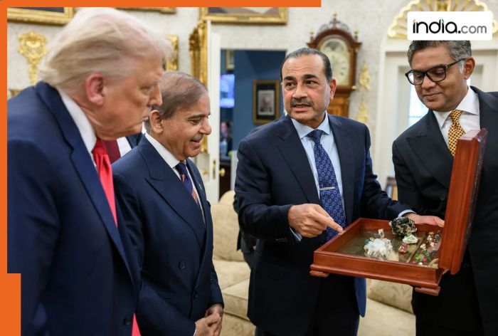 Shehbaz Sharif, Asim Munir present Trump with rare earth minerals at White House; Is Pakistan secretly planning to impress US President?
