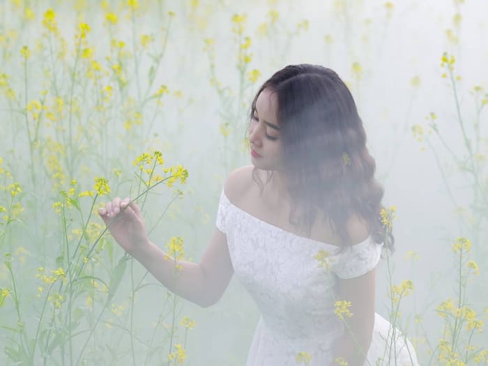 Mulank Social Media  1