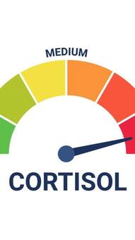 High BP to weight gain: 7 signs your cortisol levels are too high