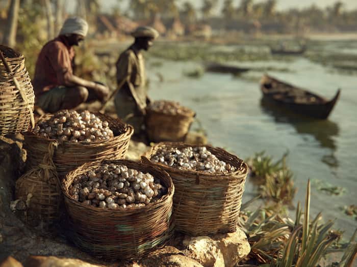 Odisha pearl industry