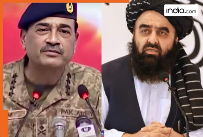 Kashmiris, Muslim unity, Pakistan, Kashmir, India, Afghanistan, Amir Khan Muttaqi, S Jaishankar, UNSC resolution, Pakistan-occupied Kashmir, PoK, Islamabad, Asif Ali Zardari, Delhi, Qatar, Saudi Arabia