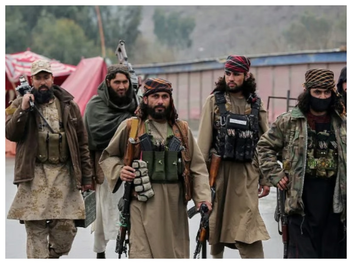 अफगानिस्तान सैनिक किस जानवर का मांस सबसे ज्यादा खाते?