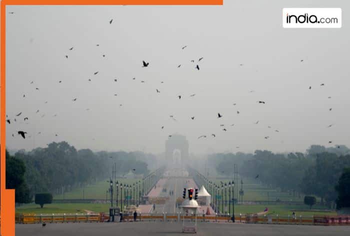 Delhi-NCR AQI update: Delhi air quality turns hazardous after Diwali, Punjabi Bagh records AQI at 999, Narayana at 611; Check full list