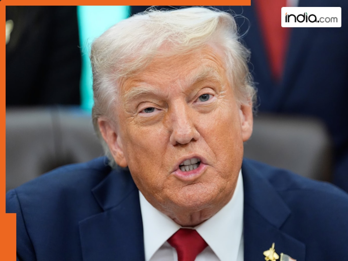 Good news for Indian exporters of mangoes, spices, tea, Trump drops tariffs on key food imports – THESE items will no longer face extra taxes