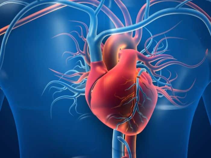How to control cholesterol  2