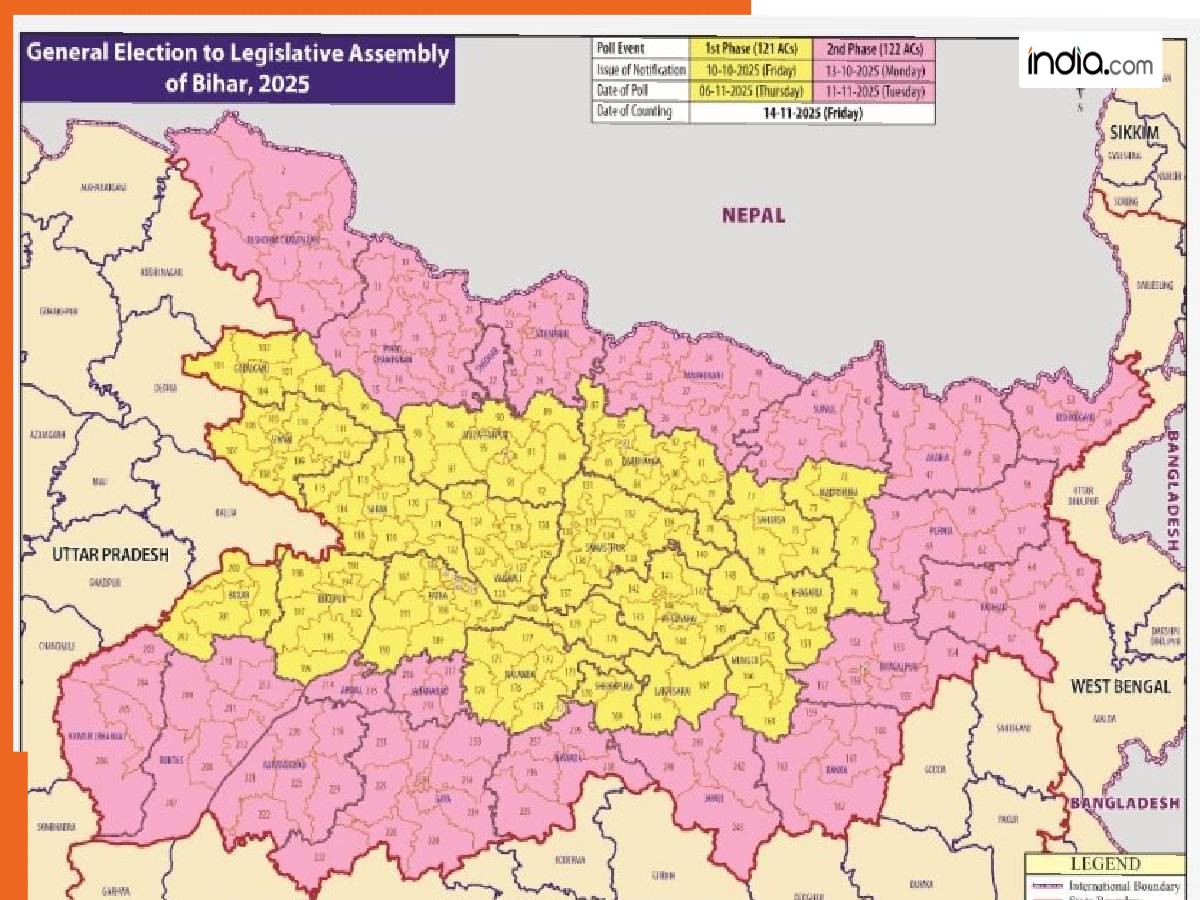 Bihar Assembly elections: Madhya Pradesh, Rajasthan and Uttar Pradesh no longer BIMARU states… then why Bihar still is? Explained