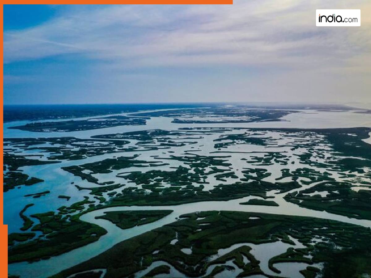 Land Of Rivers Land of Rivers: नदियों की धरती कहलाता है ये पड़ोसी देश, बहती हैं दुनिया ...