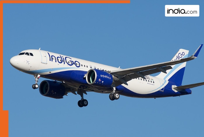IndiGo Airlines makes major announcement: Starts direct flight between Delhi and this Chinese city, services to begin from…