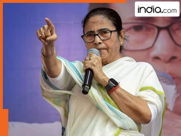 'You have weapons in your kitchen...:' Mamata Banerjee makes provocative statement amid SIR in Bengal