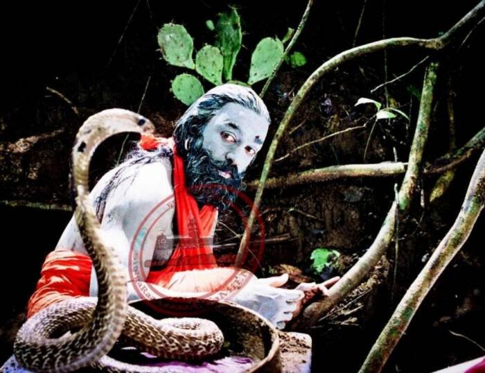 Marudhanayagam 143953312850