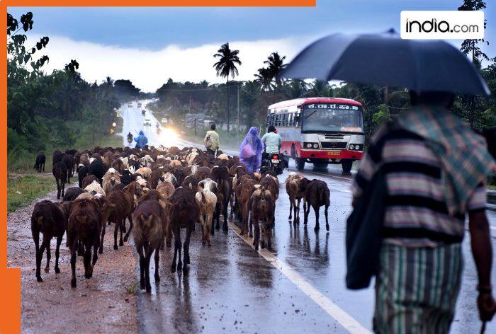Red alert in Tamil Nadu: Schools and colleges in Chennai, Thiruvallur, Chengalpattu, 12 other districts to remain CLOSED today amid heavy rain; Check details