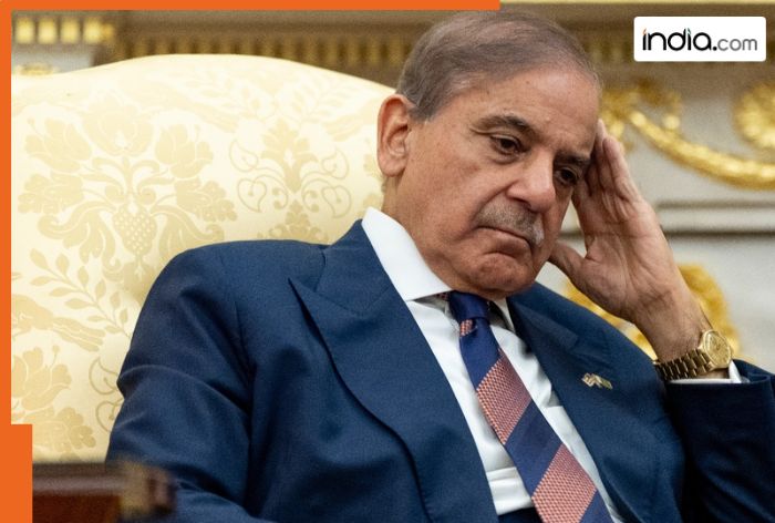 ‘Indian occupation forces landed in Srinagar…:’ Pakistani PM Shahbaz Sharif gets fact checked by X for spreading Kashmir propaganda