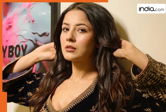 Shehnaaz Gill reveals she betrayed her boyfriend after…, says, ‘I am very…’