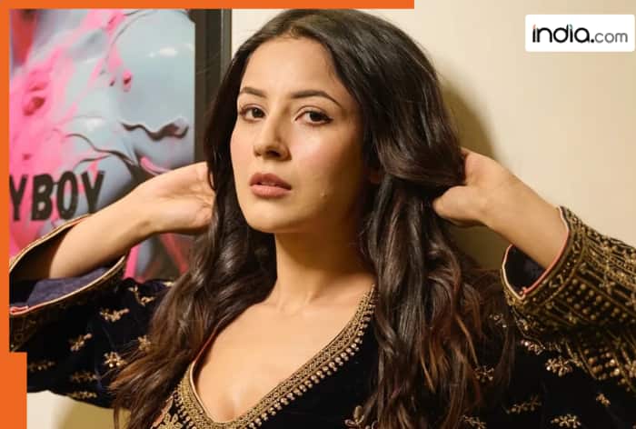 Shehnaaz Gill reveals she betrayed her boyfriend after…, says, ‘I am very…’