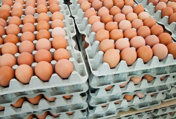 FAO report India eggs