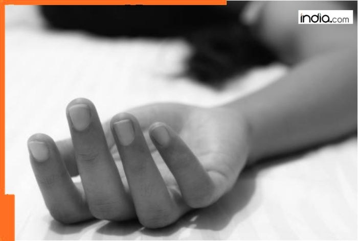 Delhi SHOCKER! Drunk man kills live-in partner, leaves body in car, goes to sleep after…; cops say he planned to…