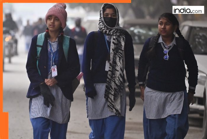Cold wave to intensify in Delhi? City records coldest November day as temp plummets to…, Met predicts…