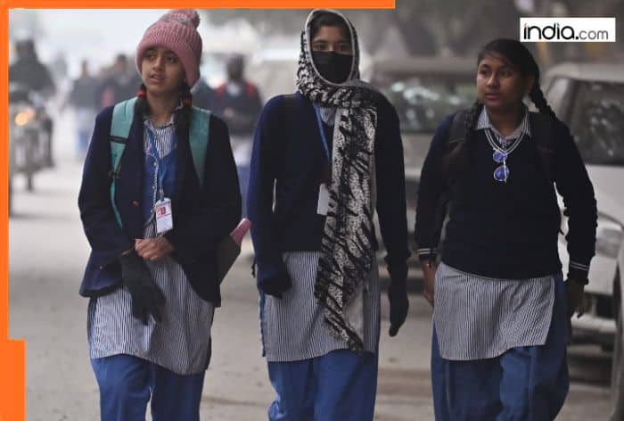 Cold wave to intensify in Delhi? City records coldest November day as temp plummets to..., Met predicts...