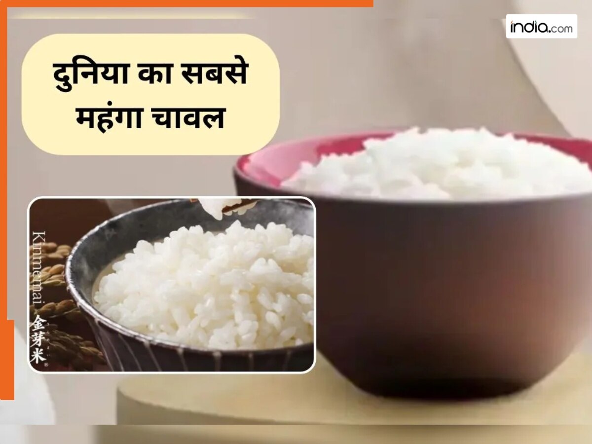 World Most Expensive Rice: इस देश में होता है दुनिया का सबसे महंगा चावल ...