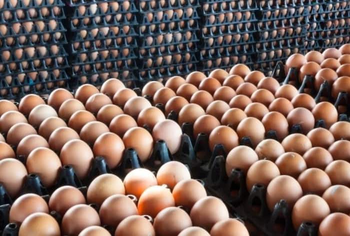 Most egg producing state India