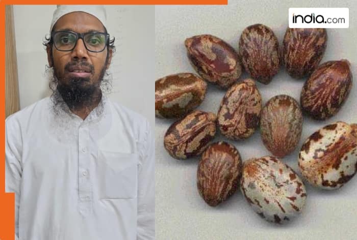 Chemical, cyanide, Gujarat ATS, Gujarat, ATS, Ricin, Telegram, Ahmed Mohiuddin, Hyderabad, Ahmedabad, Adalaj toll plaza, MBBS degree, China, Glock pistols, Beretta pistol, ISKP, Uttar Pradesh, Lucknow, Delhi, Kashmir