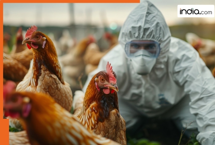World’s first death from H5N5 Bird Flu