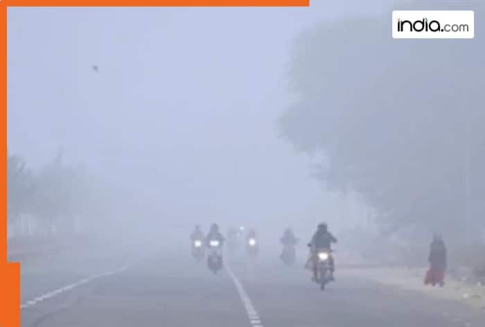 Cold wave, Rajasthan, Sikar, Bihar, Himachal, Uttarakhand, Haryana, Madhya Pradesh, fog, clouds, Bhopal, Rainfall, Udaipur, Bhilwara, Ajmer, Fatehpur, Mount Abu, Buxar, Patna, Airport, Patna, Uttarakhand, Haridwar, Himachal Pradesh, Shimla Ridge