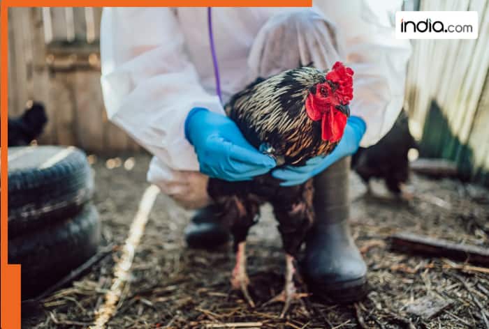 Amid Bird Flu concerns, US reports its first human H5N5 death