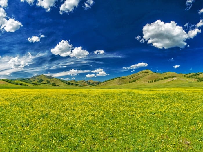 Valley Of Flowers Trek Complete Itinerary