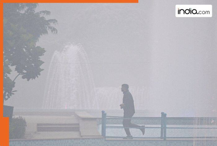 Delhi-NCR weather update: Intense chill to grip Delhi-NCR from THIS date, UP to face dense fog; Check IMD's latest forecast