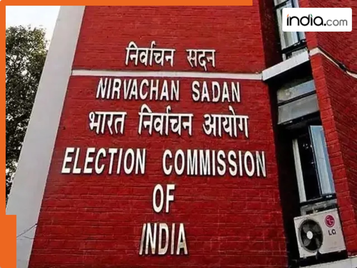 ‘Severe Electoral Offences’: EC orders fresh polling in Falta seat in West Bengal on May 21
